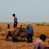 Friday One Sheet: LIVING THE LAND