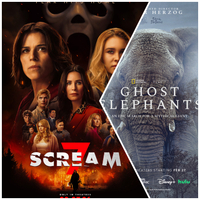 Now Playing: SCREAM 7 Not So Scary, GHOST ELEPHANTS Not a Myth