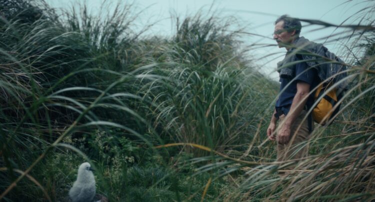 Berlinale Review: Tristan Forever Highlights a Jaded Doctor’s Search for Purpose