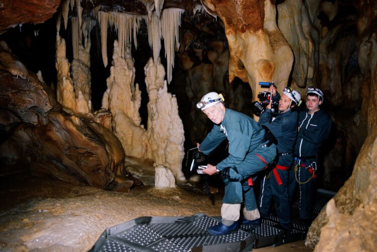6K Restoration of Werner Herzog’s Cave of Forgotten Dreams Is Coming to IMAX