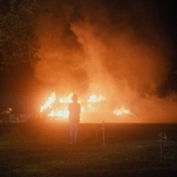 TESTAMENT Blu-ray Review: Not With A Bang But A Whimper