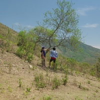 OUR LAND Review: Two Competing Narratives