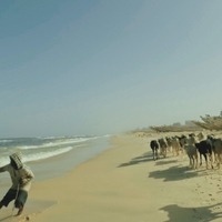 Diagonale 2026 Review: PORTRAIT OF NOWNESS Assembles a Fragmented Mosaic