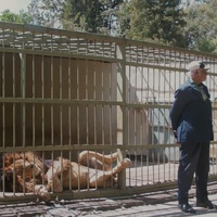 Diagonale 2026 Review: WAX & GOLD Probes Memory and Myth of Ethiopia’s Beloved Autocrat