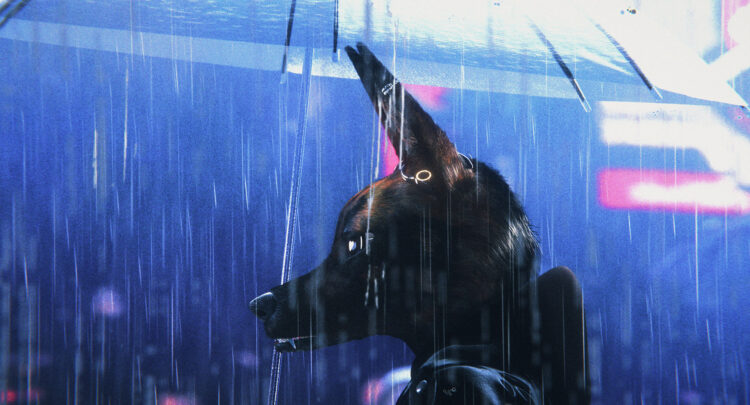 Exclusive Trailer for Bouchra Presents an Acclaimed, Personal Hybrid Animation