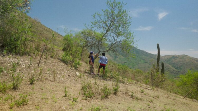 Our Land (Nuestra Tierra) Review: Lucrecia Martel’s Essential Document of Indigenous Resistance