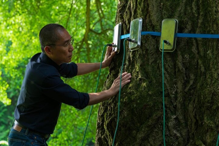 Interview: Tony Leung on ‘Silent Friend’ and Expanding His Understanding of Consciousness