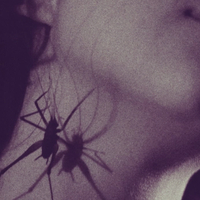 Fantasia 2026: INSECTASY Trailer Asks “You’re Into Bugs, Right?”