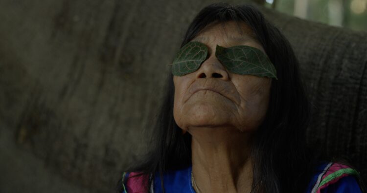 TIFF Review: The Hummingbird Paints Fragrant Songs Is an Elegiac Portrait of an Indigenous Peruvian Artist